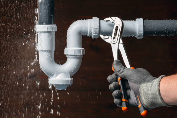 Professional Plumbing technician working in Webster, IN